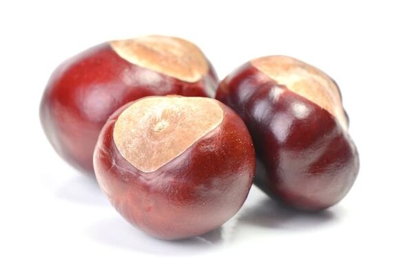 Zxcvbnmqwert include una castagne